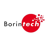 Logo Borintech
