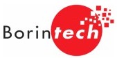 Logo Borintech